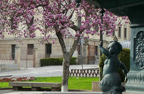 Vila Real House | Douro - A casinha da Ana