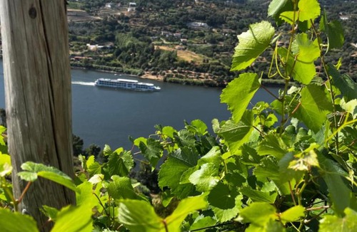 Anreade House | Douro Nest House