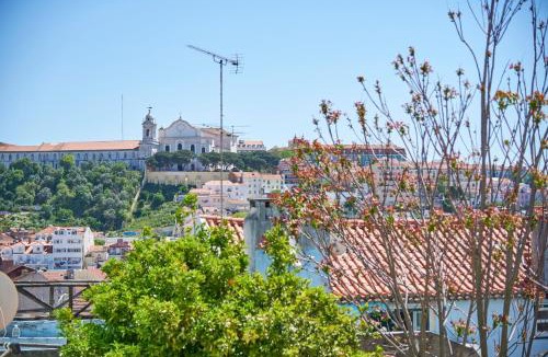 Pena Apartment | Elegant Apartments Santana - 2 apartments Delux and Standard