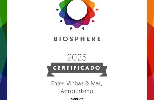 Amoreira House | Entre Vinhas & Mar