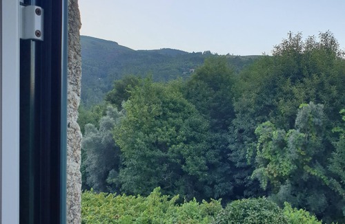 Bico Other | Estate of Vinha Velha