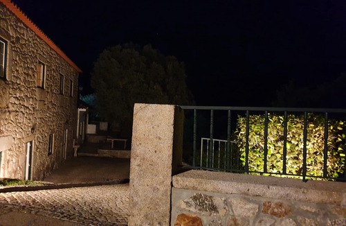 Bico Other | Estate of Vinha Velha