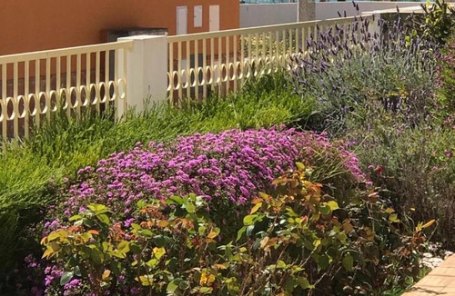 Porto de Mos Apartment | Esti Chamaco - Lagos