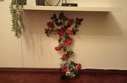 Evora Apartment | Evora Domus
