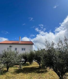 Fatima House | Fátima Fátima