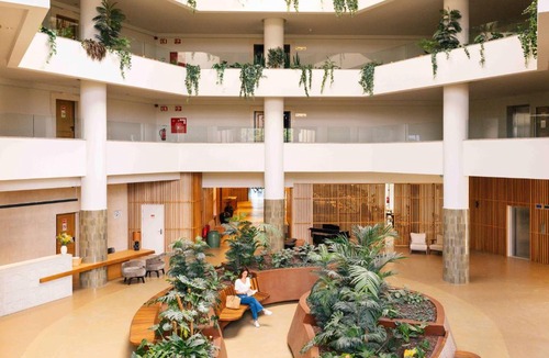 Olhos D'Agua Hotel | Falésia Hotel - Adults Only