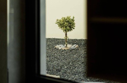 Pacos de Gaiolo Villa | Feel Discovery Douro Living Villa I