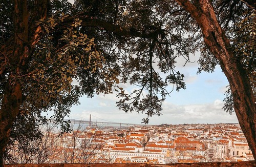 Santa Maria Maior Apartment | Flat by Sao Jorge Castle