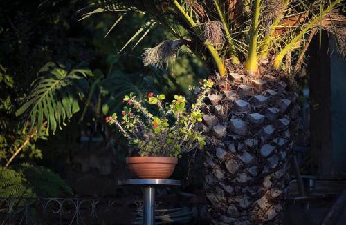 Costa de Caparica House | Fonte da telha Beach Suite