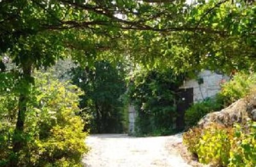 Gatao House | Gatao: Cottage in the begining of Douro very cosy and peaceful