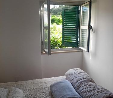 Carvoeira House | Ginjals-67