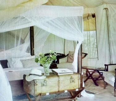 Olhao Other | glamping eco lodges