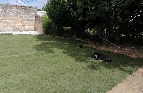 Sao Vicente do Paul House | Green Palace-Guest House