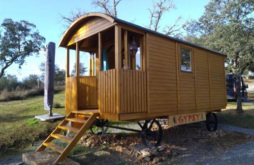 Aldeia dos Palheiros Other | Gypsy caravan op de camping
