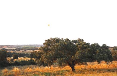 Terena House | Herdade da Yucca - Retreat & Spa