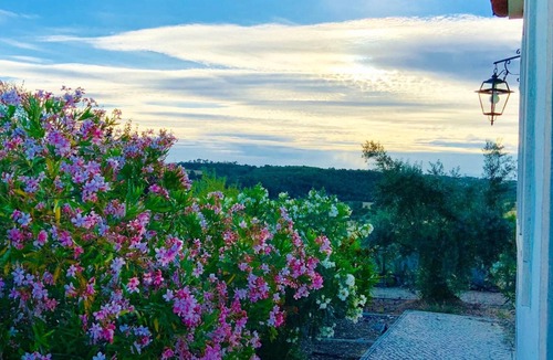 Pedrogao Villa | Homerez - Villa for 5 ppl. with shared pool and jacuzzi at Casais de Sao Bras