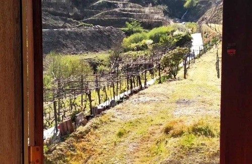 Lamego Villa | Homerez - Villa in Lamego
