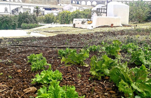 Serpa Apartment | Horta das Laranjas - Alojamento Local T2