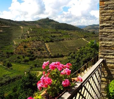 Vale de Mendiz Hotel | Hotel Rural da Quinta do Silval
