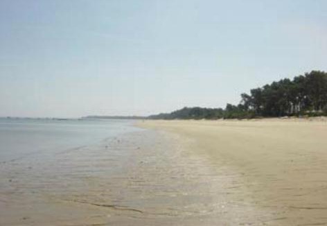 Carvalhal Hotel | Hotel Soltroia - Foz Do Sado