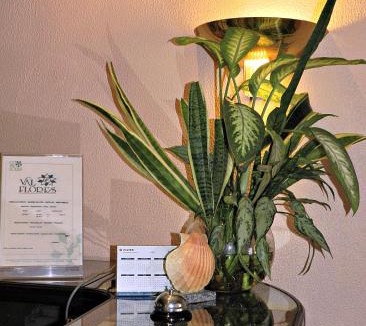 Valenca Hotel | Hotel Val Flores