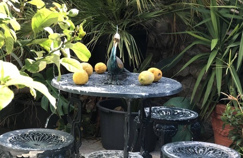 Mexilhoeira Grande House | House Sleeps 4 with Private Garden