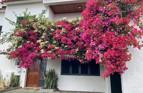 Santa Maria Maior House | Ideal house for families, with clear sea view