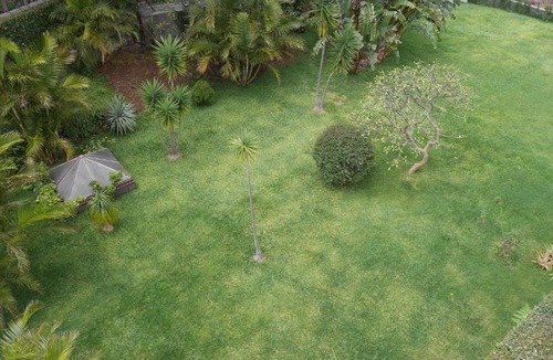 Se Apartment | Jasmineiro - Palms Palace Apartment