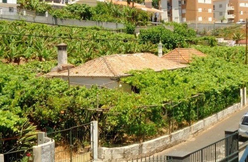 Santo Antonio House | Large and pleasant house in Funchal