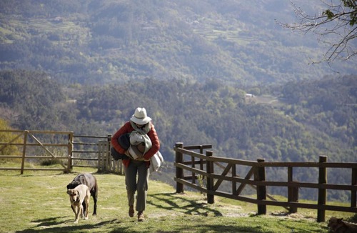 Brufe Villa | Leiras do Tempo - Adults Nature Retreat - Cottages - Gerês National Park