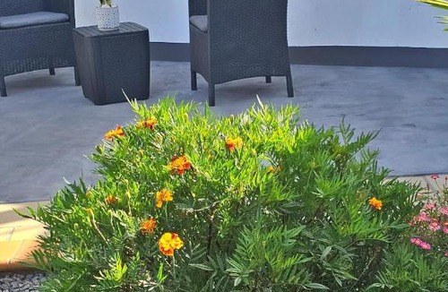 Santana Apartment | Lower Floor In Flor do Campo - Santana