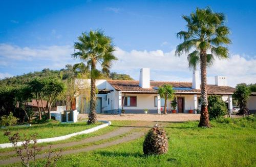 Luzianes Villa | Luxe villa for 8 - Heated Pool -AC -BBQ Area - Patio - 160Mbps - Olives - Palm - vineyard