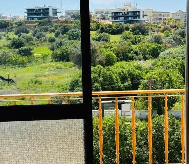 Portimao Hostel | Meeting point hostel portimao, Algarve