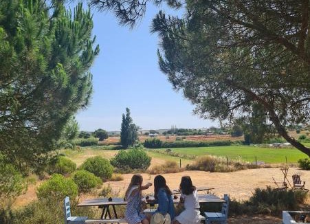 Santo Andre House | Modern Farmhouse AYO South of Melides