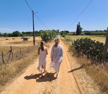 Santo Andre House | Modern Farmhouse AYO South of Melides
