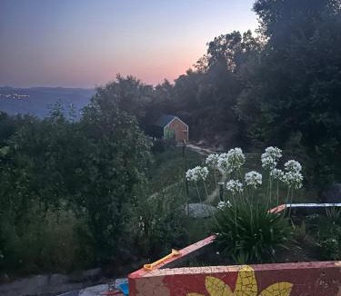 Seia House | Monkey Tiny Barnhouse with amazing views!