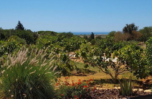 Albufeira Bed & Breakfast | Monte da Saudade