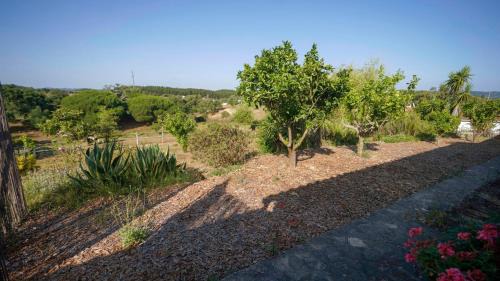 Sao Luis Villa | Monte dos Casarões Casa grande