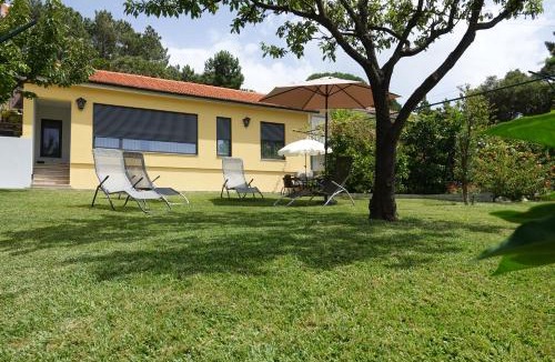 Arouca House | Montinho 313