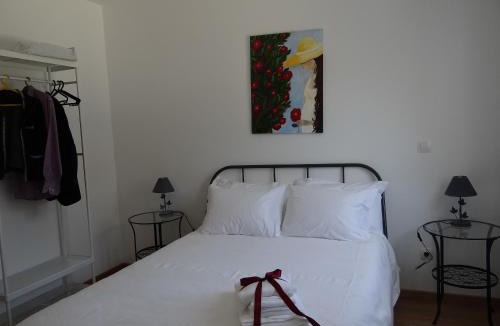 Sequeiros House | Museu Casa Aleixo