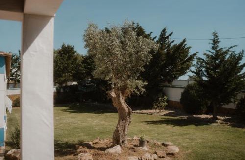 Mafra Cabin | NaNa House Ericeira - Yoga & Surf