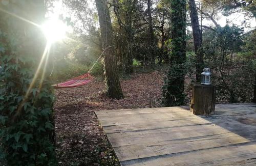 Valongo Ski Chalet | Natura Tiny House Porto