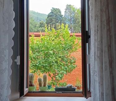 Gois House | O Cantinho de Góis
