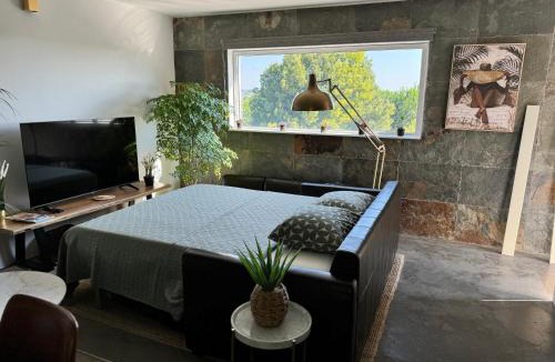 Santarem House | OakTree Villa - Quinta da BellaVista