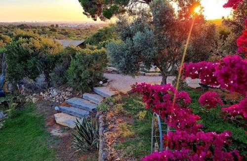 Estombar Other | Oasis Camp Portugal