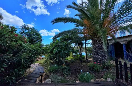 Estombar Other | Oasis Camp Portugal