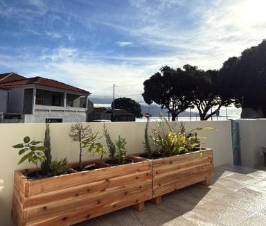 Horta Apartment | OKTO Beach Loft