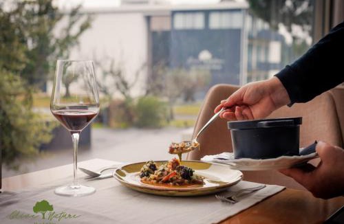 Valpacos Hotel | Olive Nature Hotel & SPA - Quinta Valle de Passos