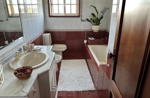 Santa Maria da Feira House | Oliveiras