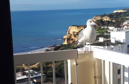 Armacao de Pera Apartment | Only a few meters to the beach and the pedestrian promenade, WLAN, AC